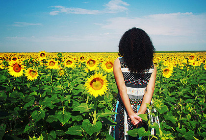 攻击网站在线工具